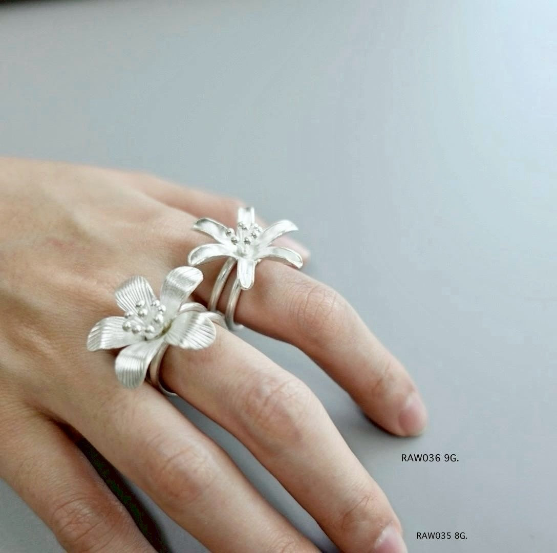 Silver jewelry. Silver ring.