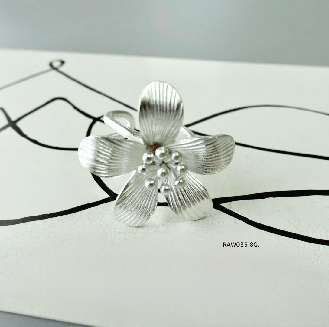 Silver jewelry. Silver ring.