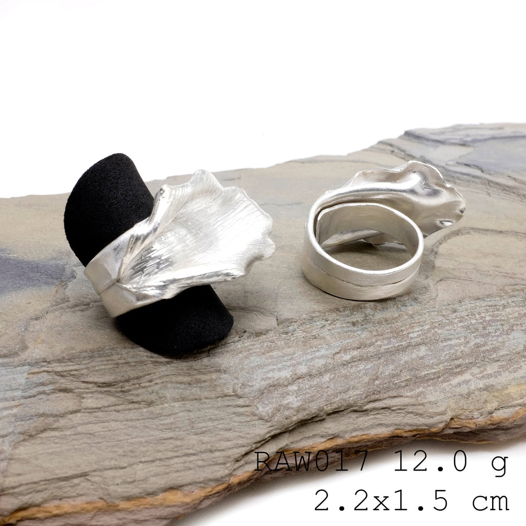 A treasure to wear. Silver ring.