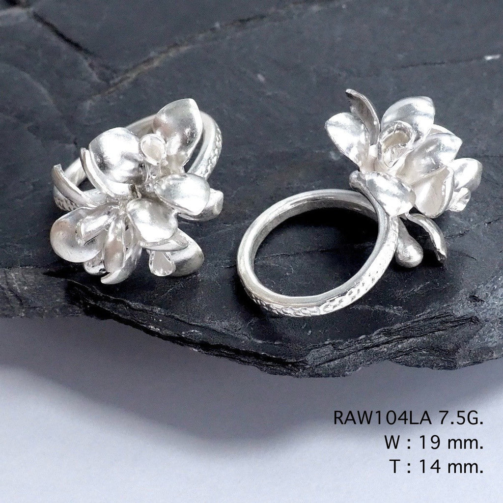 Own a piece of wearable art. Silver ring.