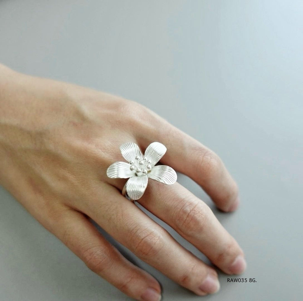 Silver jewelry. Silver ring.