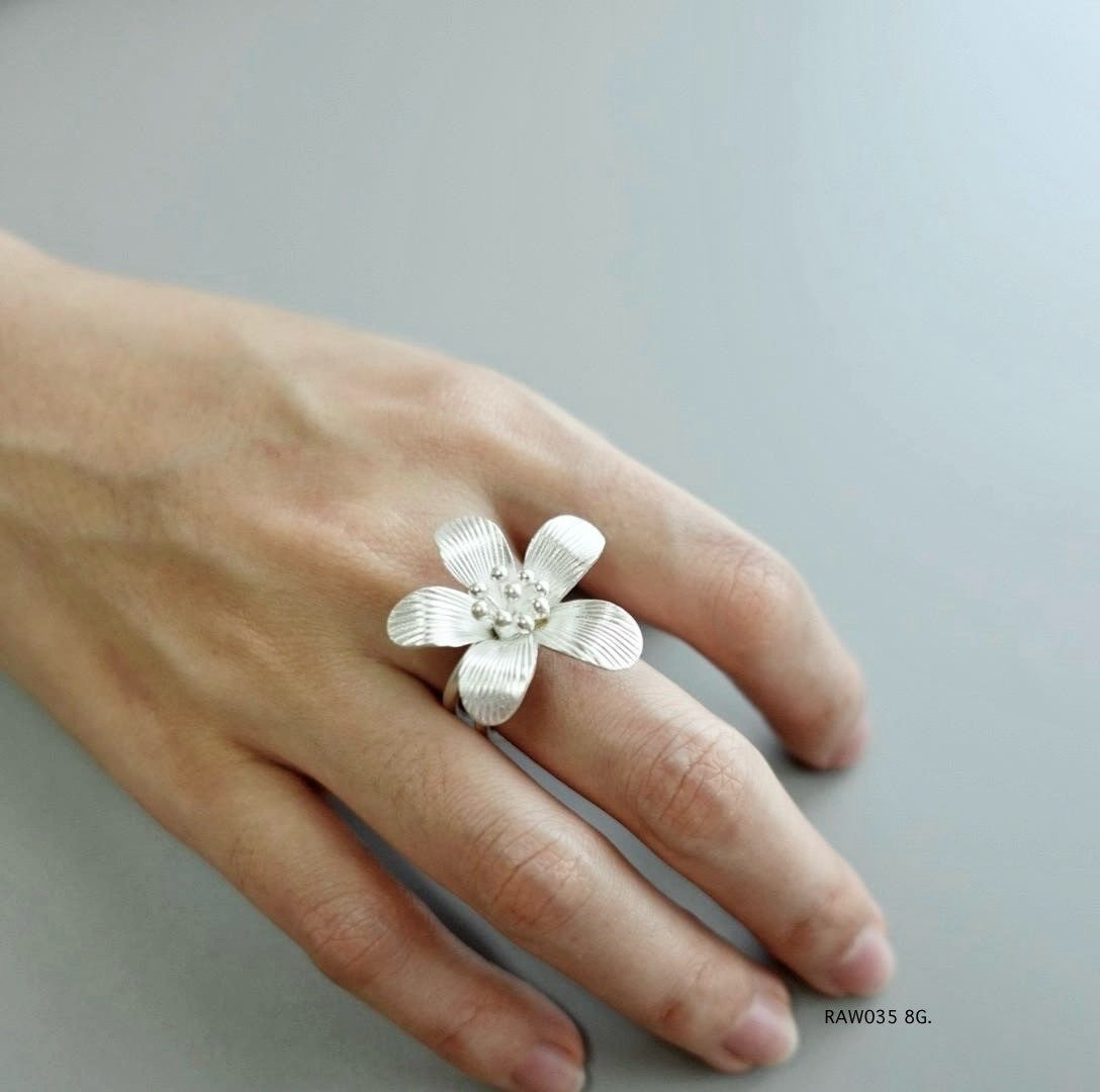 Silver jewelry. Silver ring.